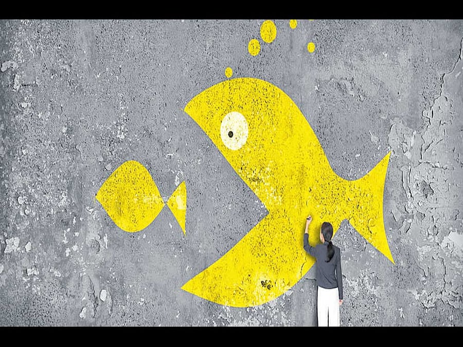 Modern Foods eyeing for local bakeries