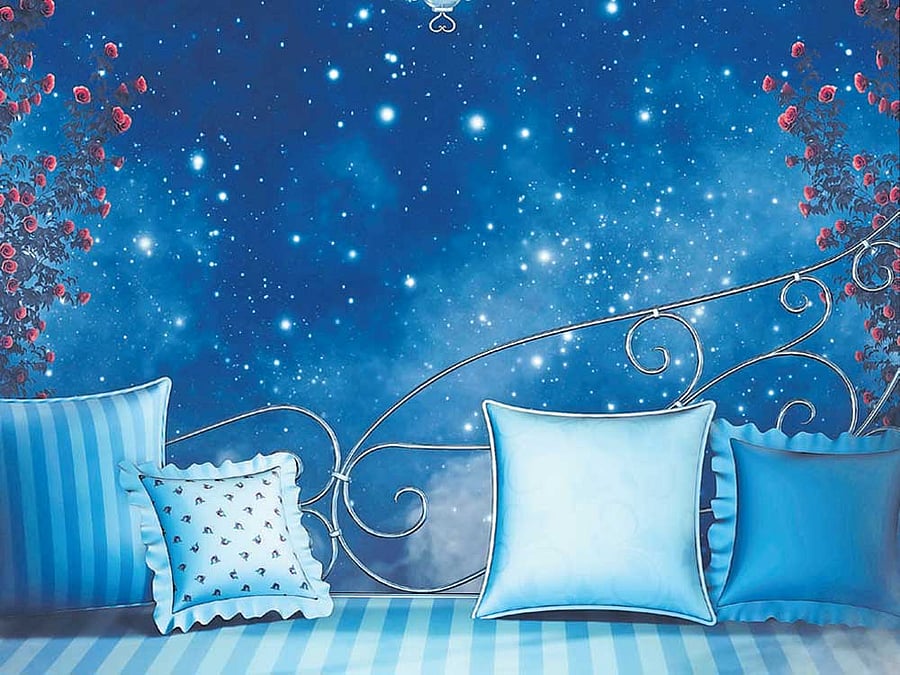 Throw pillows & the catch