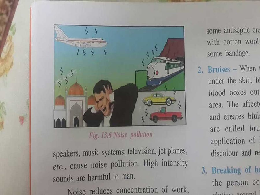 The picture, shared widely on social media, shows a train, car, plane and a mosque, all with symbols depicting loud sound, next to a man grimacing and shutting his ears. Image tweeted by @zulqarnainrhs