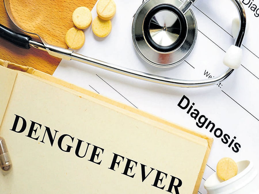 Child dies of dengue