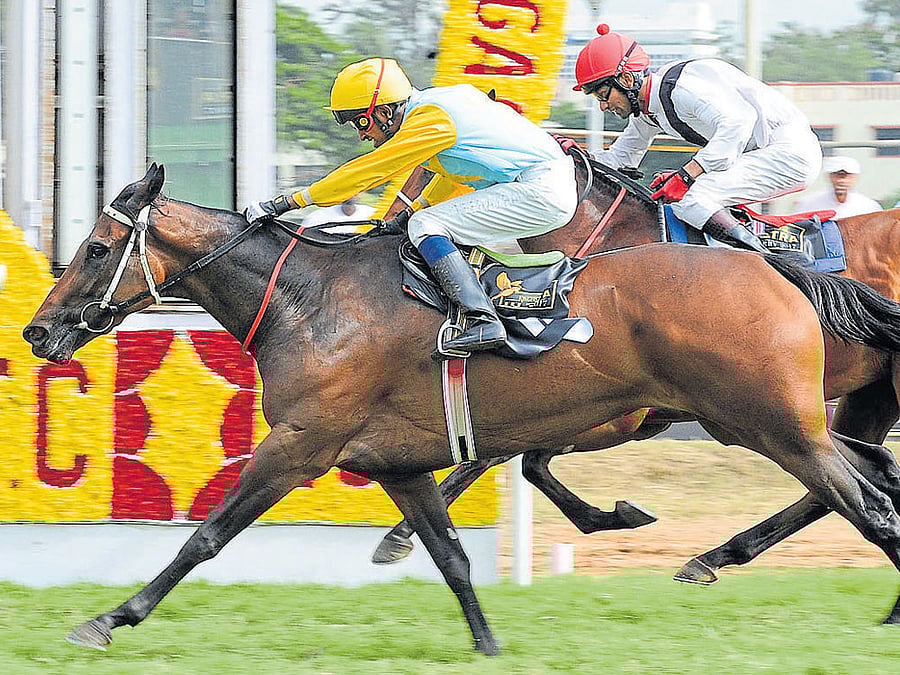 Neeraj Rawal pilots Manifold to victory past Castlebridge.