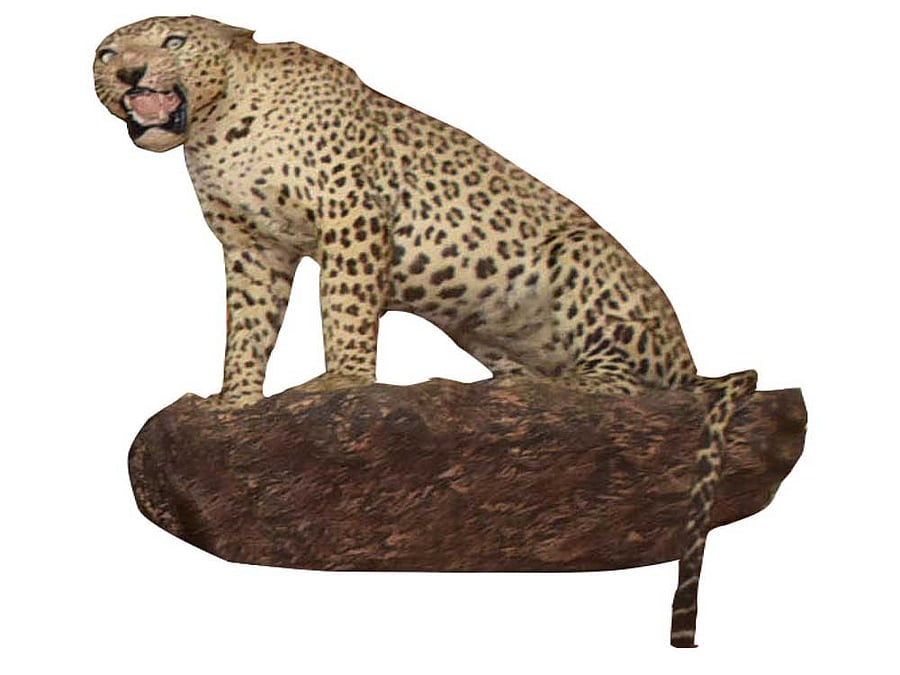 Art that's stuffed & mounted