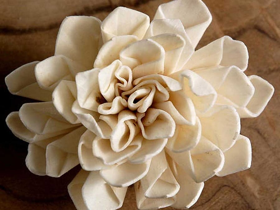 Crafting beautiful wonders from a herb