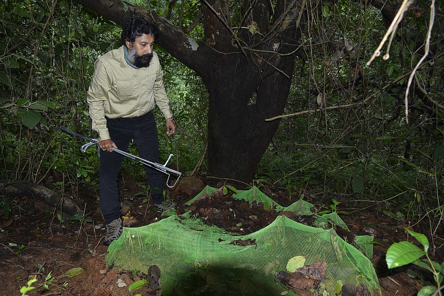 Russia has deployed tanks and artillery, fighter jets and helicopters, advanced rocket systems and troops by the thousands all across Belarus. Credit: AP Photo