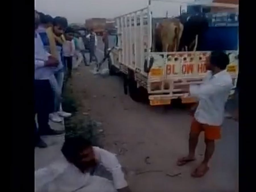A series of incidents involving cow vigilantes had rocked the country in the past couple of years with opposition leaders saying there were at least 50 such incidents in the recent past. File photo