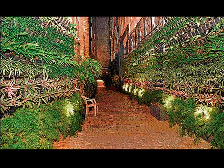 A vertical garden on MG Road. dh photo
