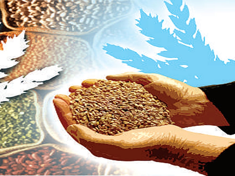 Representational Image. File Photo.