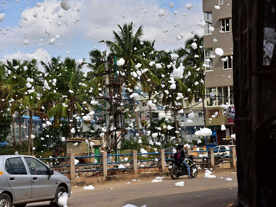 Image for representation. DH photo.