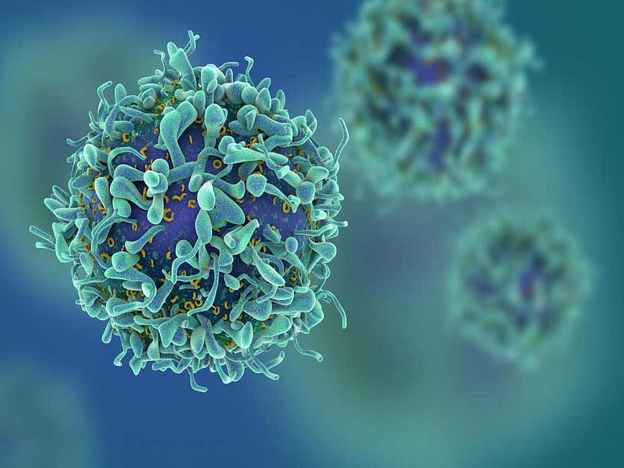 DATA INTENSIVE Using bioinformatics, researchers have tried to figure out what molecules and mechanisms are involved in the movement of cancer cells.