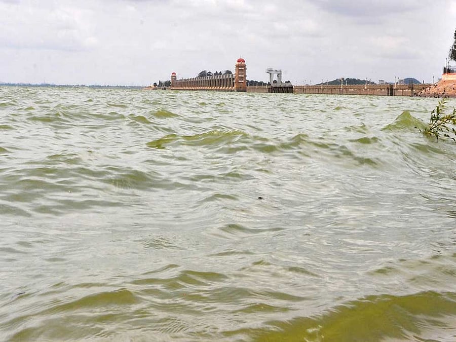 The Tungabhadra dam is almost full. DH photo/ B Babukumar