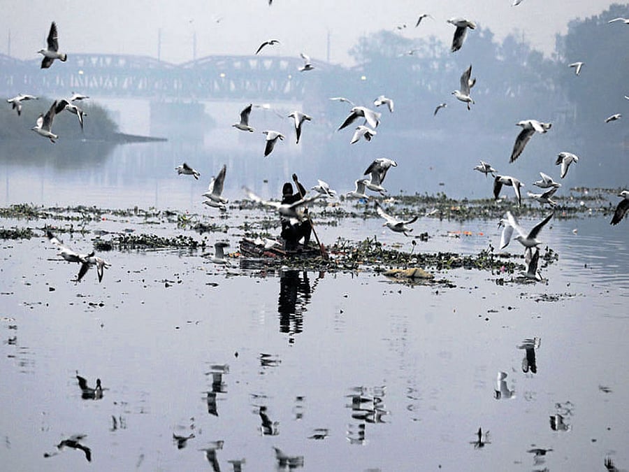 The directive comes after a peition filed by Swami Om ahead of the upcoming Chhath Puja.