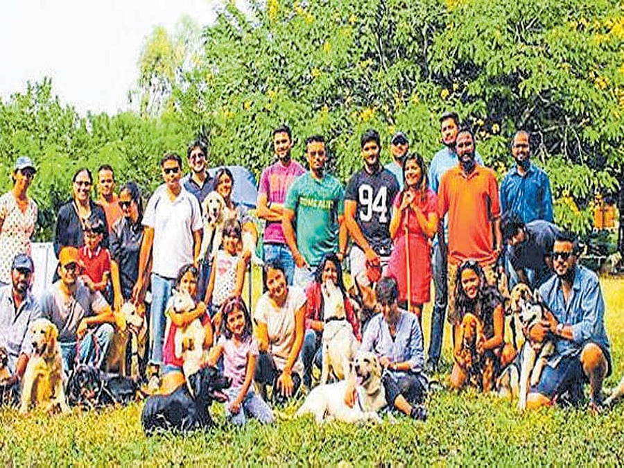 Pet owners with their dogs at a popular dog park in the city.
