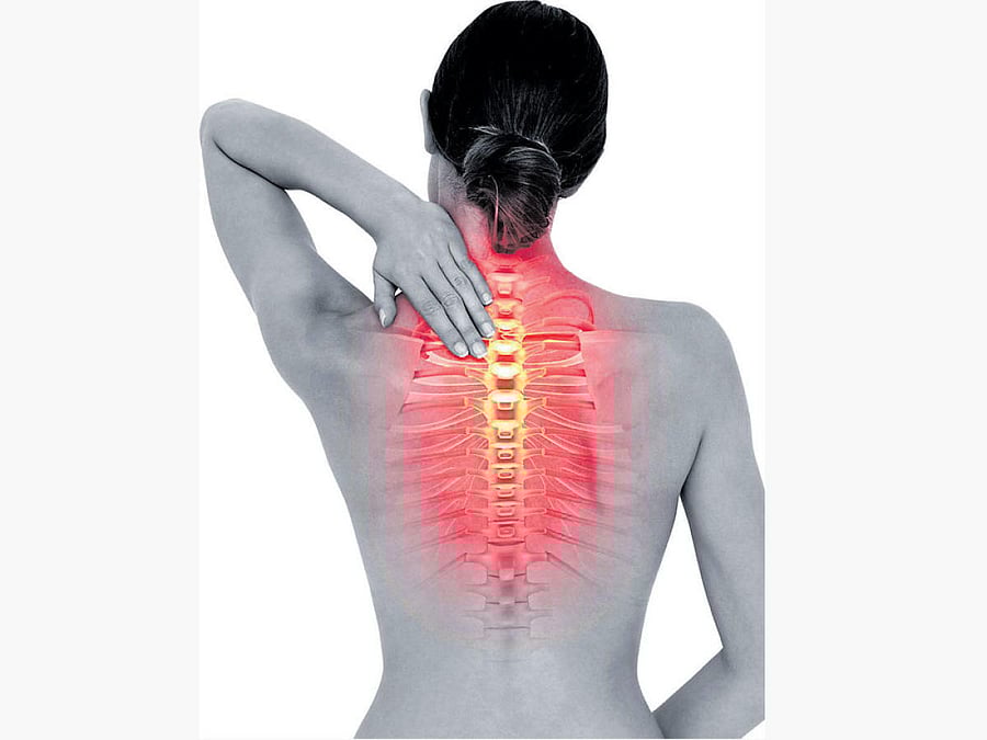 The modified silk may also have the potential to aid repair following brain injury, researchers said.