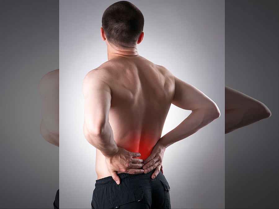 According to doctors,  people do not have time for exercise, which gives the spine relaxation and movement which will lead to a healthy spine.