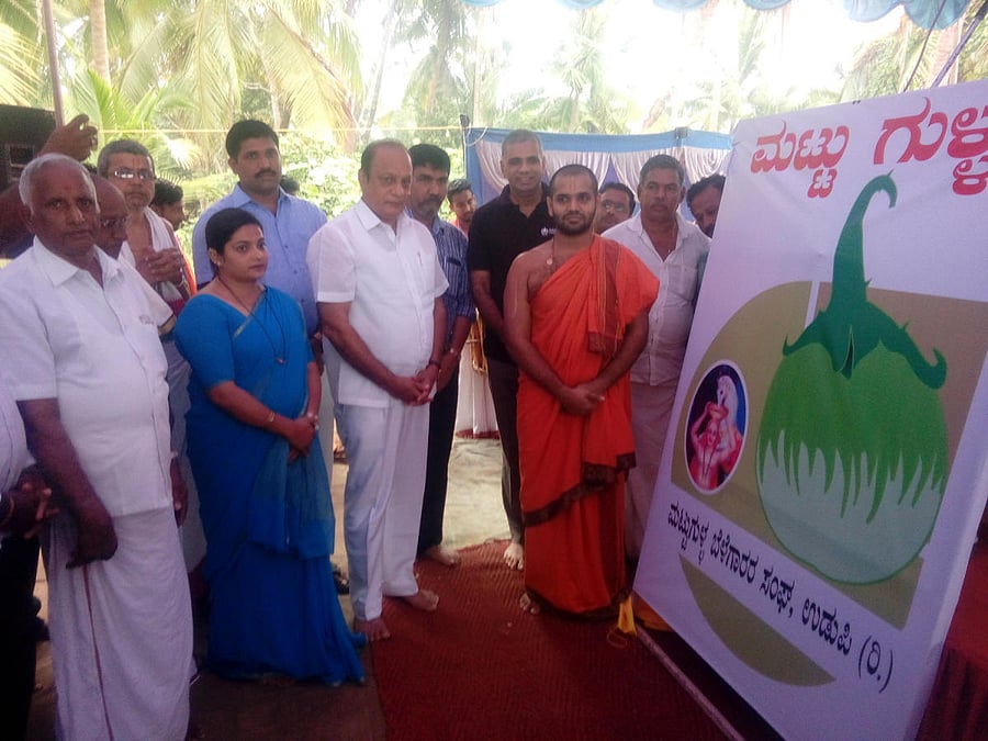 19-gullaSode Vadiraja Mutt seer Vishwavallabha Theertha Swamiji releases sticker for Mattu gulla at Mattu in Katpady on Sunday.