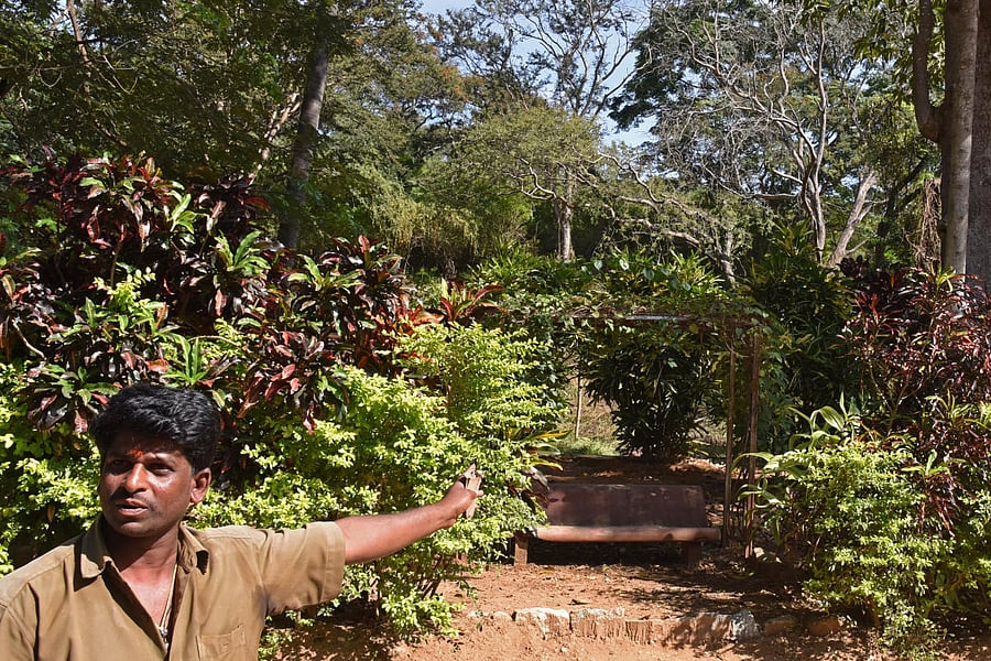 One of the BWSSB worker showing leopard seen place in Thippagondanahally reservoir in Magadi taluk, Ramanagar district on Tuesday. Photo by S K Dinesh