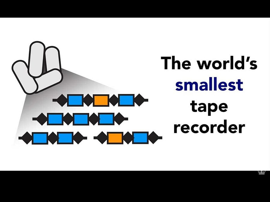 The researchers at the Columbia University Medical Center (CUMC) in the US modified an ordinary laboratory strain of the ubiquitous human gut microbe Escherichia coli, enabling the bacteria to not only record their interactions with the environment but also time-stamp the events.