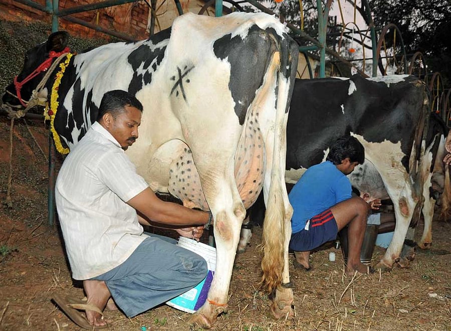 India is the largest milk producer in the world, he said, adding that the country's milk production grew at an annual rate of 6 per cent during 2014-17 as against 4 per cent during the previous three years.