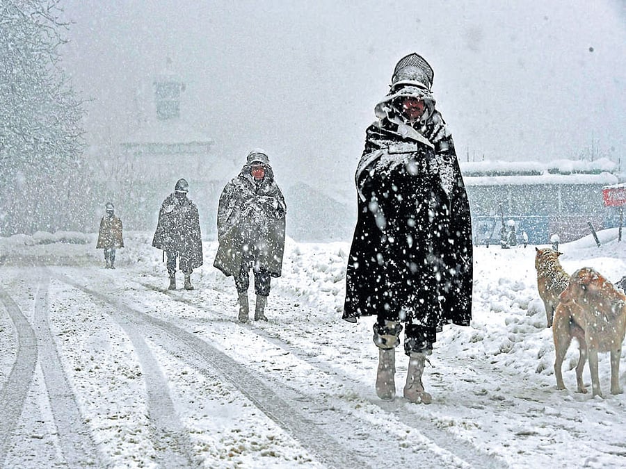 With 40-day period of harshest winter, locally known as the 'Chilla Kalan', in progress, the weather office has predicted further dip in the temperatures. PTI file photo