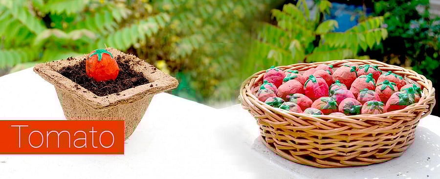 Creative seed balls