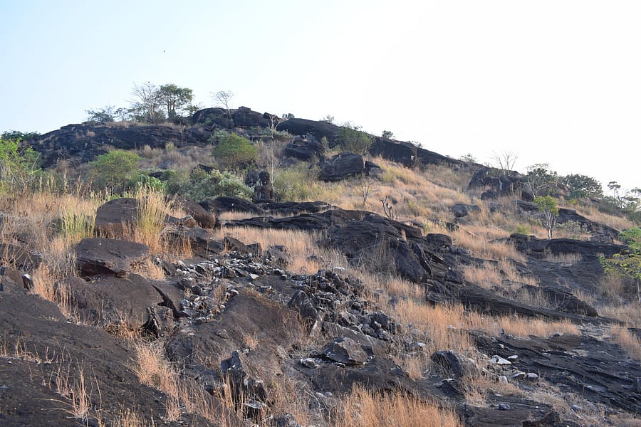 Mangala Paade, Karkala. PHOTO BY AUTHOR