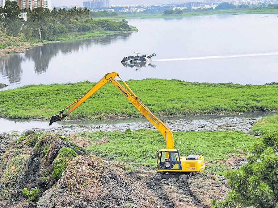 Hearing the suo motu matter arising out of the fire in the Bellandur lake, the tribunal asked the government to address the root cause of problems, leading to polllution of the city lakes. DH File Photo
