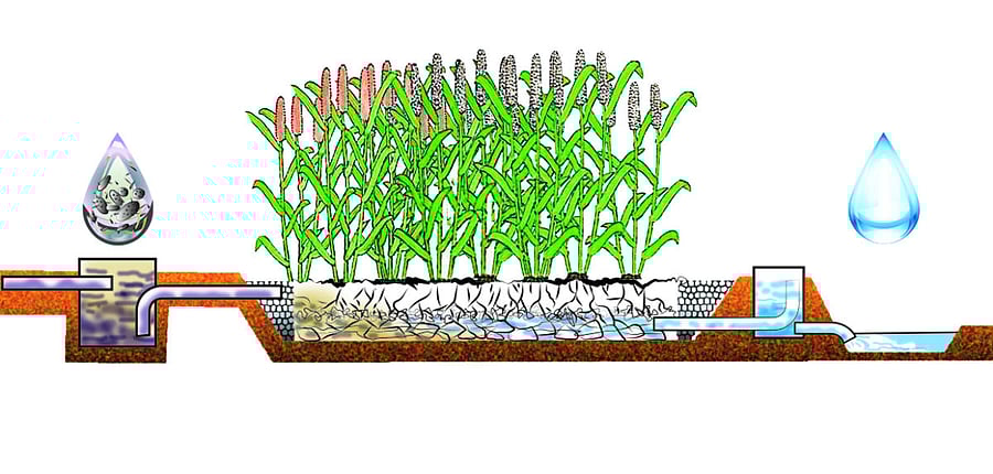 Reedbedtreatment system(horizontal flow)