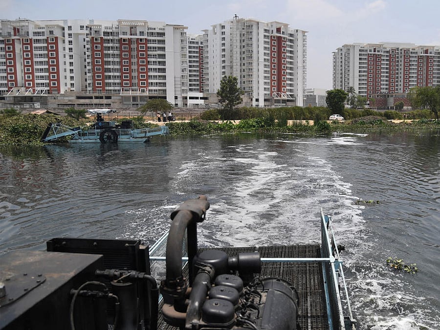 Apartments around Bellandur, Varthur lake worried