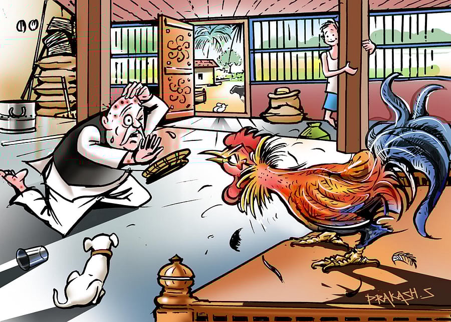 Those days, the truth was closer to life than it is now. The birds, the lambs and the pigs had to be turned into meat in our own backyard. Ah, the gore!