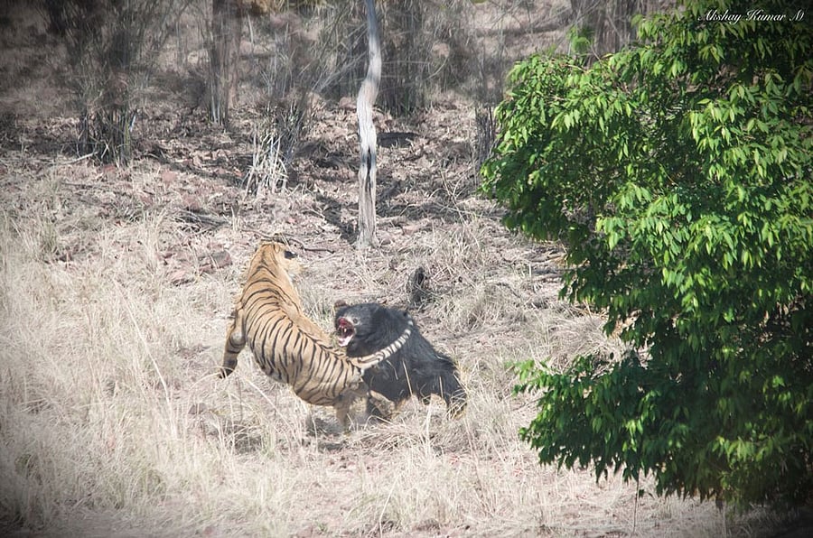 Photo credit: Akshay Kumar.