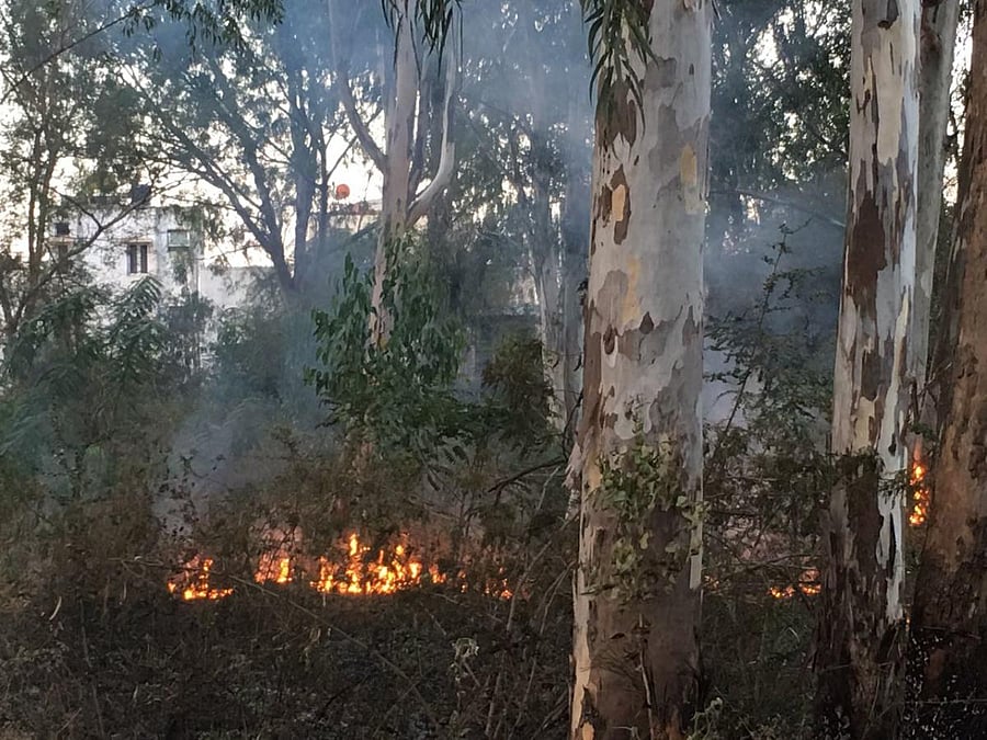 Residents complain BBMP about illegal road construction on Pattandur lake