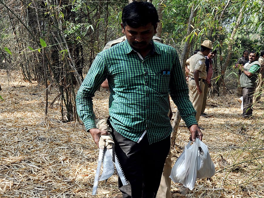 The number of stolen trees is what the university has kept track of. The actual figure could be higher, according to  RTI activist Veeraiya Hiremath.   DH file photo