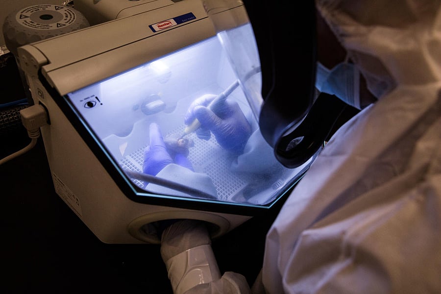 Jonas Oppenheimer, a technician in the lab of Harvard geneticist David Reich, sandblasts an ancient skull fragment to find the cochlea, or inner ear, in Boston on March 15, 2018. The cochlea is the area likeliest to retain DNA. (Kayana Szymczak/The New York Times)