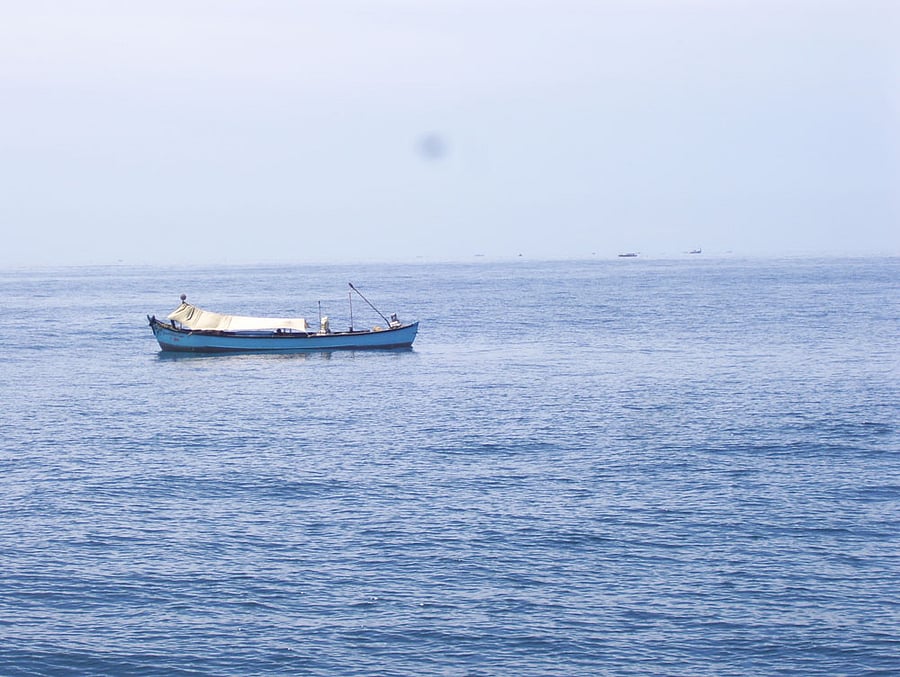 The BSF is carrying out operation across Sir Creek, Lakhpatwari Creek, Pir Sinai creek and Pavebari Creek. Representative image