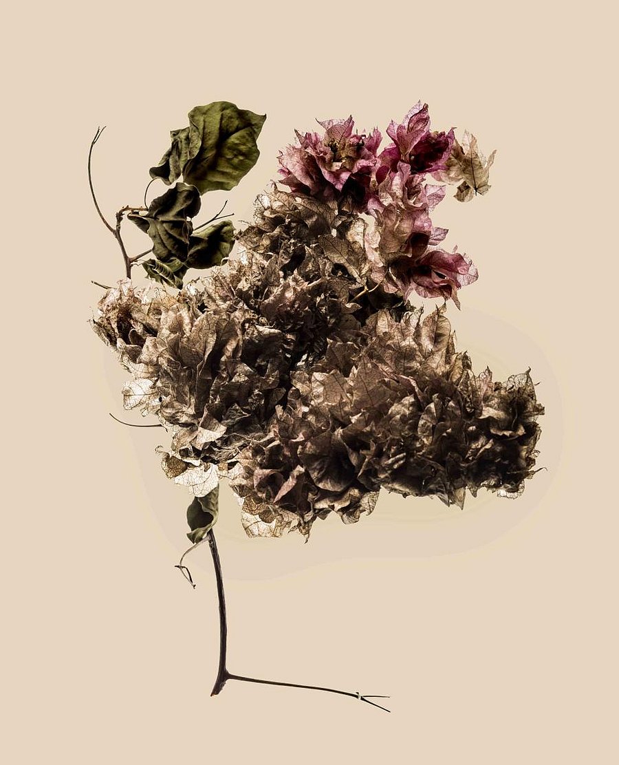 One of Sunder's works.