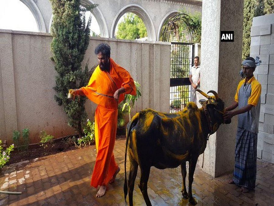 BJP candidate from Badami and Molakalamuru B Sriramulu performs gau puja at his residence Ballari on Saturday. DH PHOTO