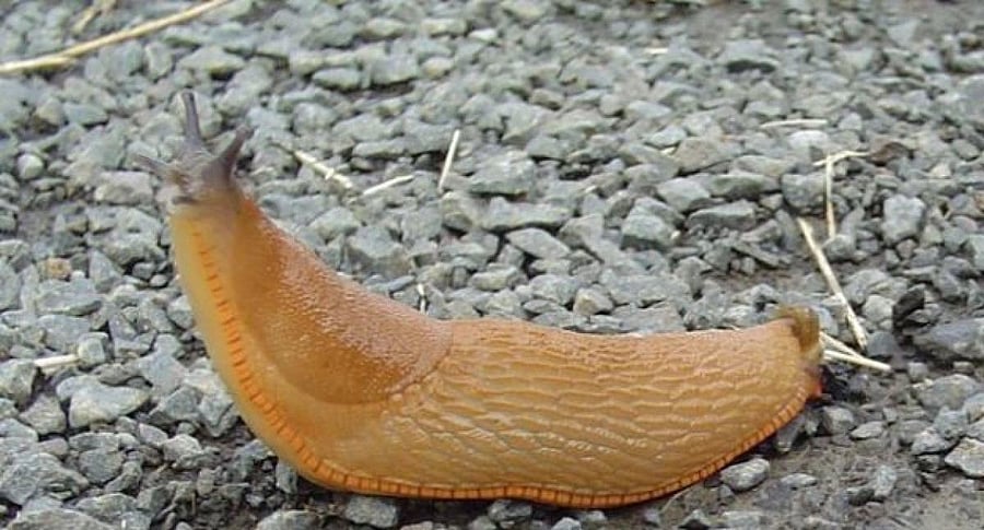 File photo for representation.