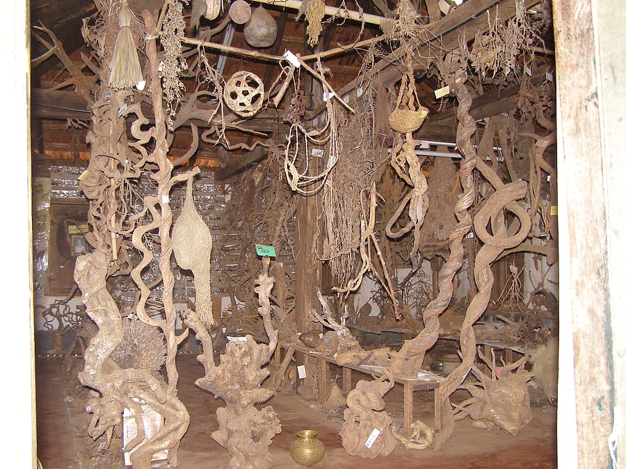 Some of the exhibits on display at Banajalaya. Photo by Anitha Pailoor