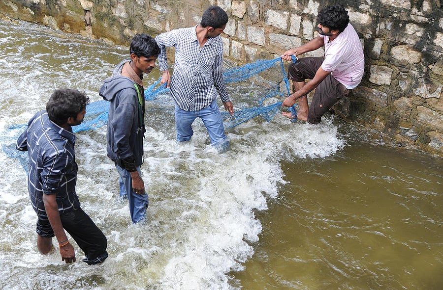 Picture for representation