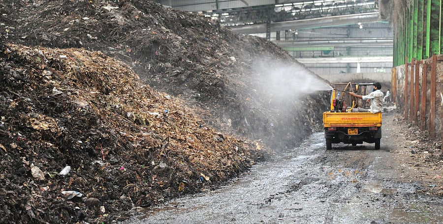 DH file photo of a KCDC worker spraying lemongrass solution on garbage mounds to mask the stench.