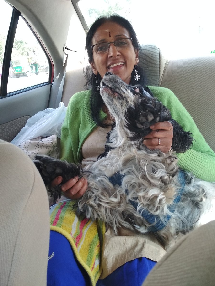 The author with Zorro