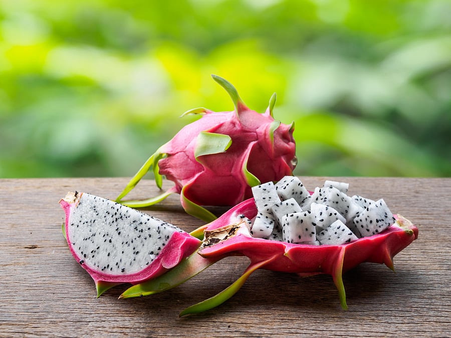 White-fleshed and red-fleshed dragon fruits (top) are cultivated in Karnataka.