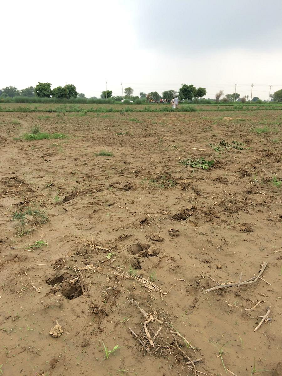 Though the police has been roped in, a decision on imposing fines for violations of the protocols is yet to be taken