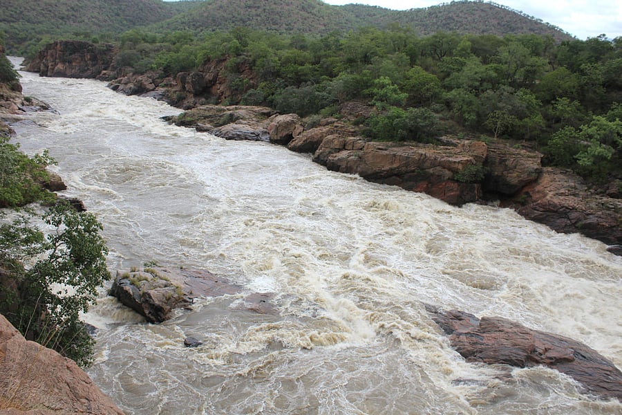 Instead of flowing excess Cauvery water to sea, it can be stored at the proposed balancing reservoir at Mekedatu and utilised by both Karnataka and Tamil Nadu, the state told the Centre. DH Photo