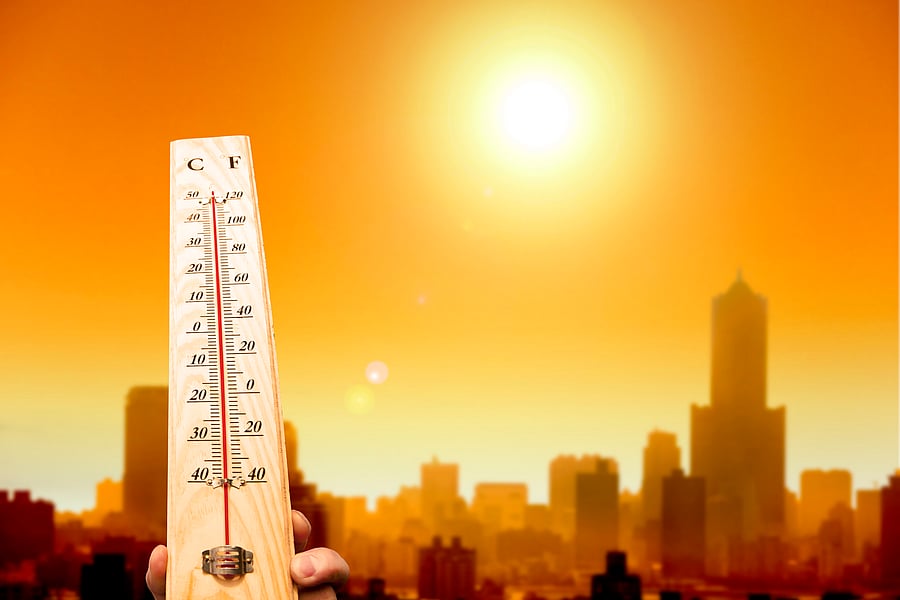 The latest report, published in June, reveals that carbon emission from energy consumption has increased by 1.6% after three years of little or no growth.