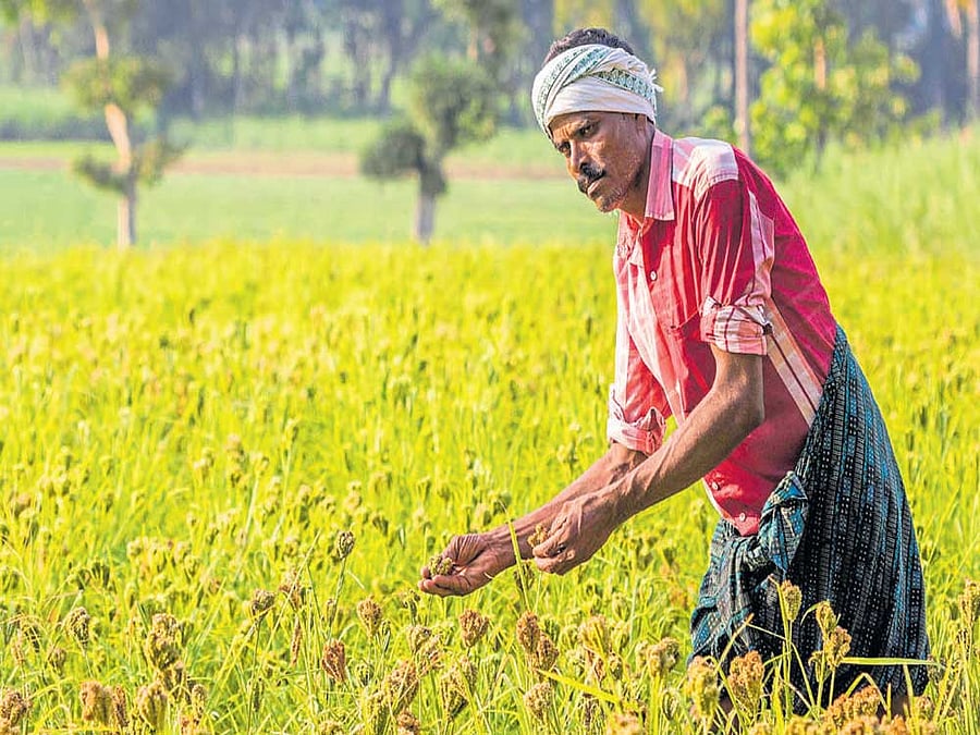 But that too is no longer safe as the sea creeps inland in Okun Alfa, a neighbourhood in Nigeria's commercial capital Lagos