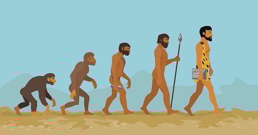 Relative to humans, non-human primates produce an extremely limited range of vocalisations. (Image for representation)
