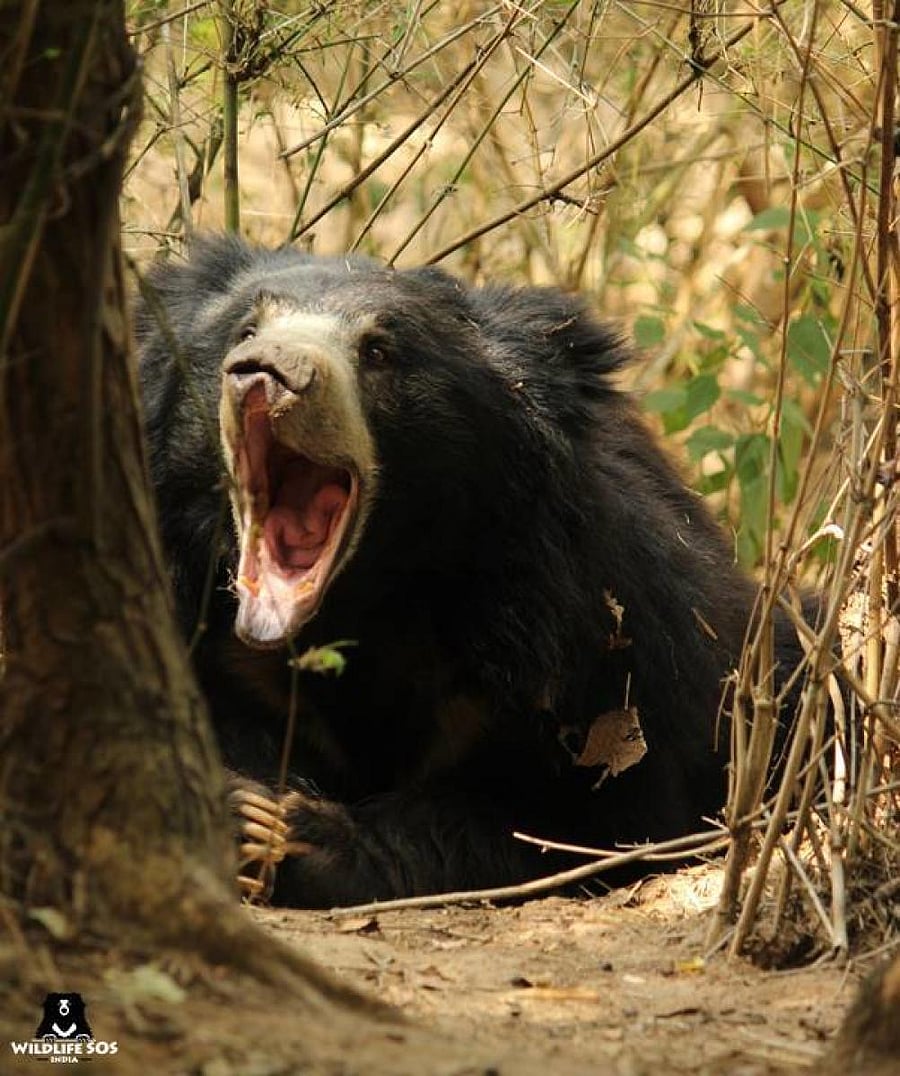 Photo for representation.