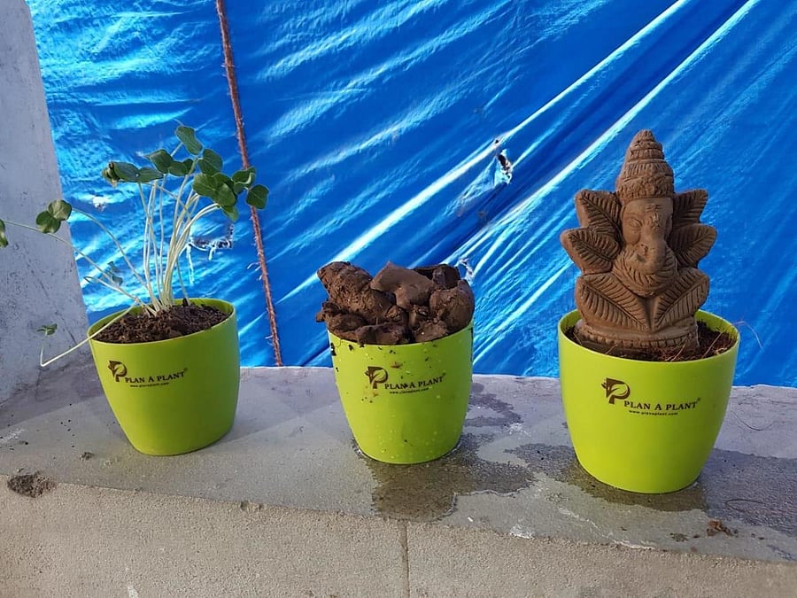 Clay Ganesha idols that grow into vegetable or flower plants.