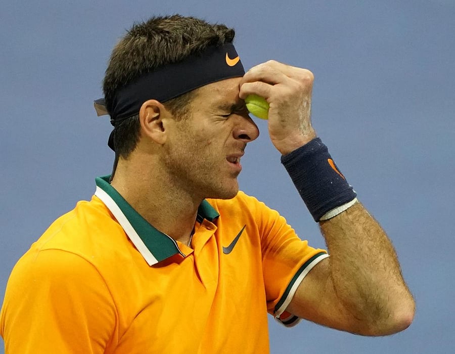 Juan Martin del Potro of Argentina felt he squandered opportunities in the US Open men's final against Serbia's Novak Djokovic. AFP
